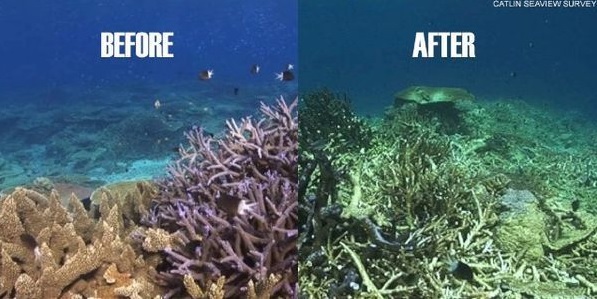 kerusakan akibat proses pukat